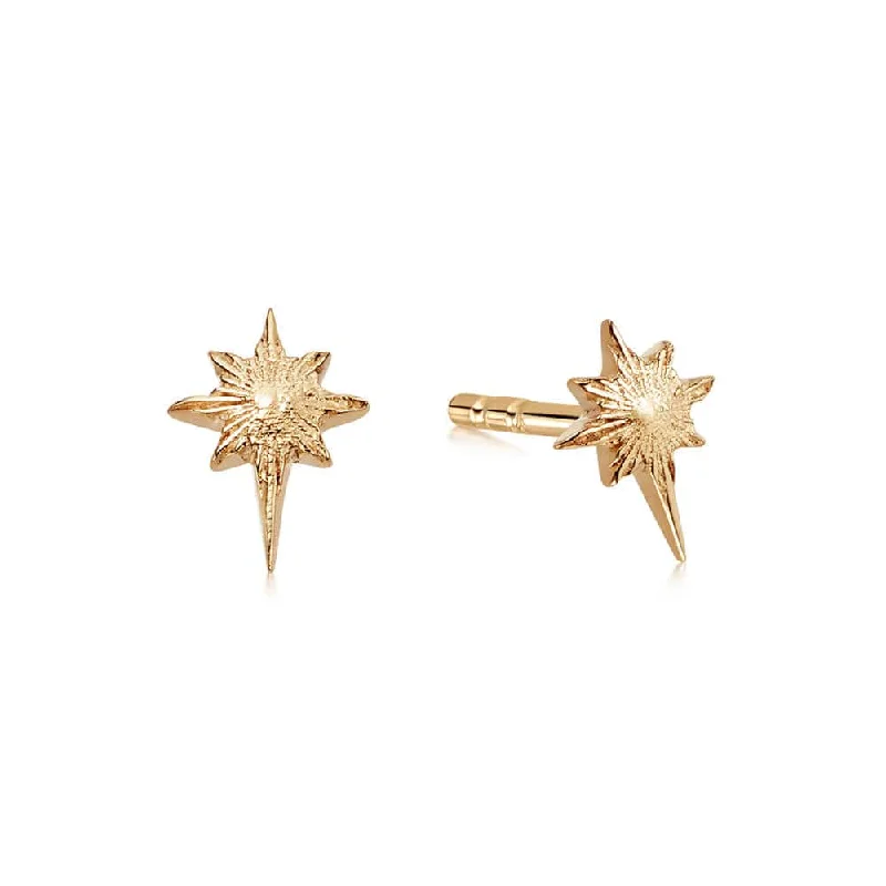 Kids' Plastic Animal - Shaped Stud Earrings in Bright Colors for a Fun and Safe AccessorySuper Star Stud Earrings 18ct Gold Plate