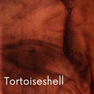 Tortoiseshell